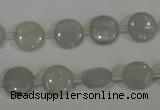 CCE10 15.5 inches 10mm flat round natural celestite gemstone beads