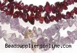 CCH19 34 inches garnet chips & amethyst chips beads wholesale