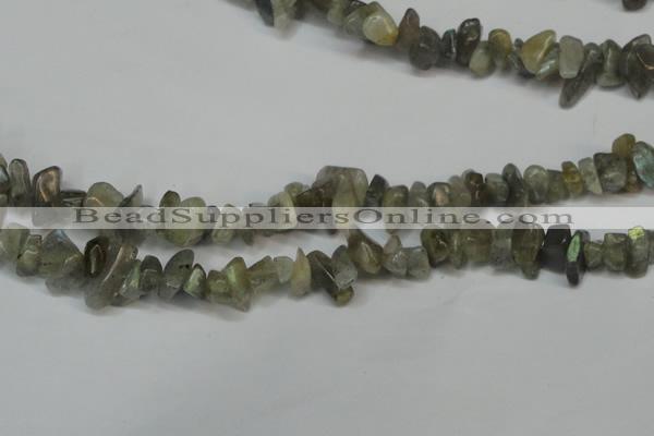 CCH217 34 inches 5*8mm labradorite chips gemstone beads wholesale