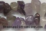 CCH291 34 inches 8*12mm amethyst chips gemstone beads wholesale