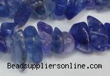 CCH294 34 inches 8*12mm dyed kyanite chips gemstone beads wholesale