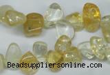 CCH312 15.5 inches 10*15mm citrine chips gemstone beads wholesale