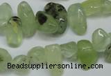 CCH318 15.5 inches 10*15mm prehnite chips gemstone beads wholesale