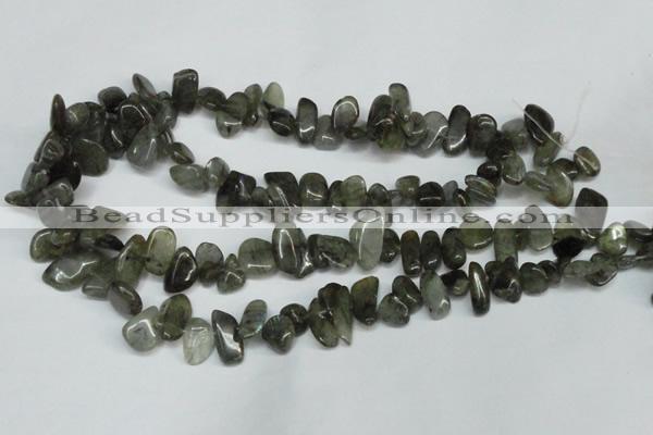 CCH320 15.5 inches 10*15mm labradorite chips gemstone beads wholesale