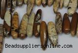 CCH345 15.5 inches 5*20mm picture jasper chips beads wholesale