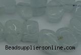 CCH606 15.5 inches 8*12mm - 10*15mm aquamarine chips gemstone beads