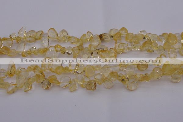 CCH612 15.5 inches 6*8mm - 10*14mm citrine chips gemstone beads