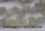 CCH625 15.5 inches 6*8mm - 10*14mm grey moonstone chips beads