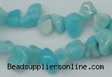 CCH631 15.5 inches 6*8mm - 10*14mm Peru amazonite chips beads