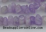 CCH648 15.5 inches 8*12mm - 10*14mm lavender amethyst chips beads