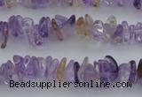 CCH651 15.5 inches 4*6mm - 5*8mm ametrine gemstone chips beads