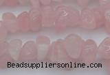 CCH654 15.5 inches 8*12mm - 10*14mm rose quartz chips beads