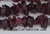 CCH704 15.5 inches 4*6mm - 6*8mm purple garnet chips beads