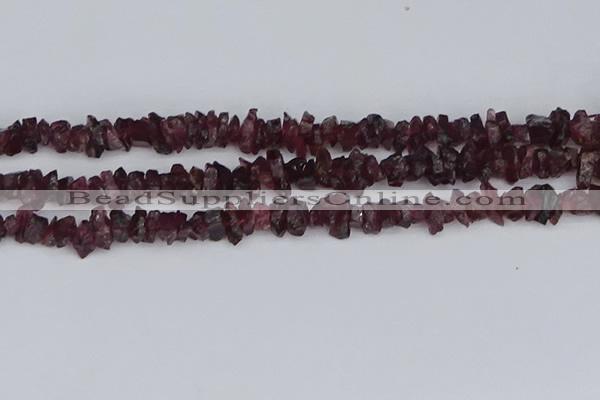 CCH704 15.5 inches 4*6mm - 6*8mm purple garnet chips beads