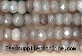 CCN5107 15 inches 3*4mm faceted rondelle candy jade beads