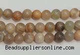 CCS302 15.5 inches 6mm round natural sunstone beads wholesale