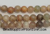 CCS303 15.5 inches 8mm round natural sunstone beads wholesale