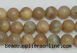 CCS304 15.5 inches 10mm round natural sunstone beads wholesale