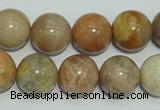 CCS307 15.5 inches 16mm round natural sunstone beads wholesale