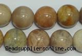 CCS308 15.5 inches 18mm round natural sunstone beads wholesale