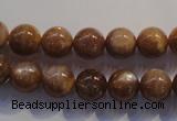 CCS353 15.5 inches 10mm round AB grade natural golden sunstone beads