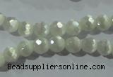 CCT341 15 inches 5mm faceted round cats eye beads wholesale