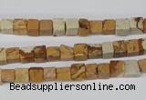 CCU29 15.5 inches 5*5mm cube picture jasper beads wholesale