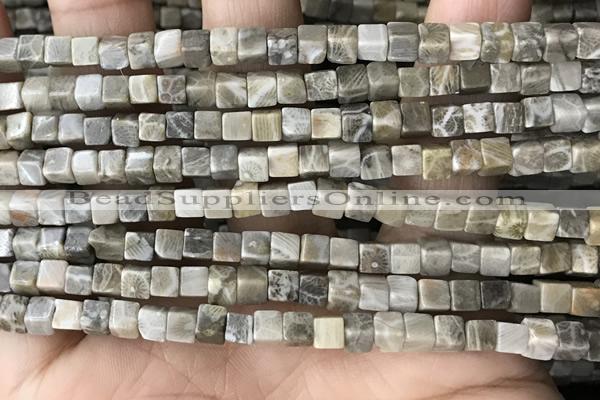 CCU458 15.5 inches 4*4mm cube fossil coral beads wholesale