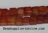 CCU67 15.5 inches 8*8mm cube red agate beads wholesale