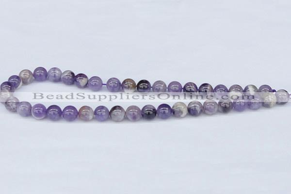 CDA53 15.5 inches 10mm round dogtooth amethyst beads wholesale