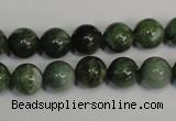 CDJ14 15.5 inches 10mm round Canadian jade beads wholesale