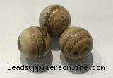 CDN1127 30mm round picture jasper decorations wholesale