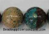 CDS29 15.5 inches 24mm round dyed serpentine jasper beads