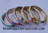 CEB14 5pcs 10mm width gold plated alloy with enamel bangles wholesale