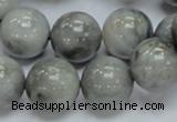 CEE06 15.5 inches 16mm round eagle eye jasper beads wholesale