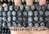 CEE544 15.5 inches 12mm round eagle eye jasper gemstone beads