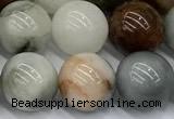 CEE571 15 inches 10mm round eagle eye jasper beads