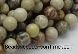 CFA03 15.5 inches 10mm round chrysanthemum agate gemstone beads