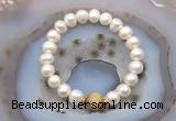 CFB1025 9mm - 10mm potato white freshwater pearl & golden tiger eye stretchy bracelet