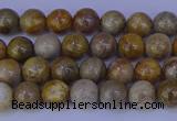 CFC200 15.5 inches 4mm round fossil coral beads wholesale