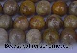 CFC202 15.5 inches 8mm round fossil coral beads wholesale