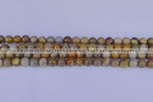 CFC202 15.5 inches 8mm round fossil coral beads wholesale