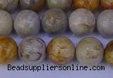 CFC203 15.5 inches 10mm round fossil coral beads wholesale