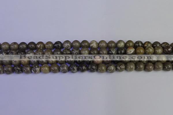 CFC212 15.5 inches 8mm round grey fossil coral beads wholesale