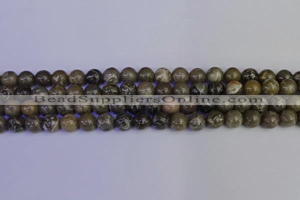 CFC213 15.5 inches 10mm round grey fossil coral beads wholesale