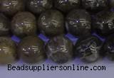 CFC214 15.5 inches 12mm round grey fossil coral beads wholesale