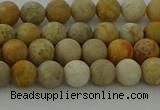 CFC221 15.5 inches 6mm round matte fossil coral beads wholesale