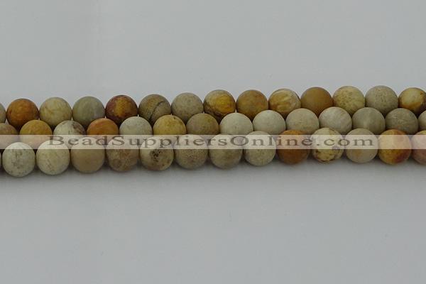 CFC224 15.5 inches 12mm round matte fossil coral beads wholesale