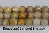 CFC228 15.5 inches 4mm faceted round fossil coral beads