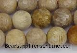 CFC231 15.5 inches 10mm faceted round fossil coral beads